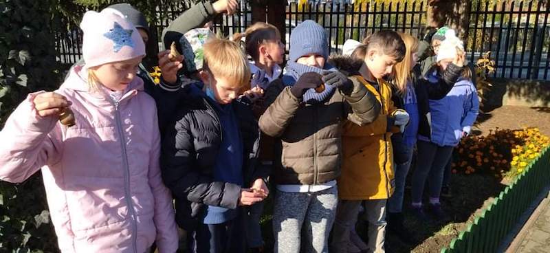 uczniowie pokazują cebulki żonkili