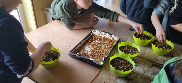 uczniowie wsypują ziemię do doniczek
