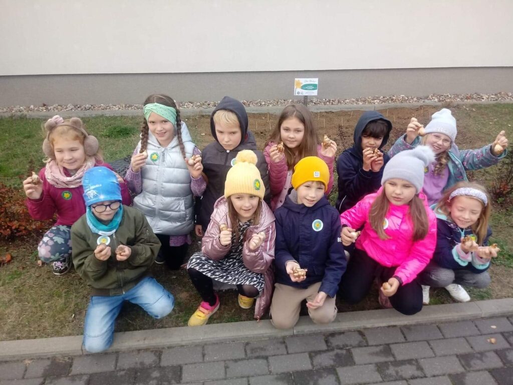 grupa dzieci przed sadzeniem żonkili prezentuje sadzonki