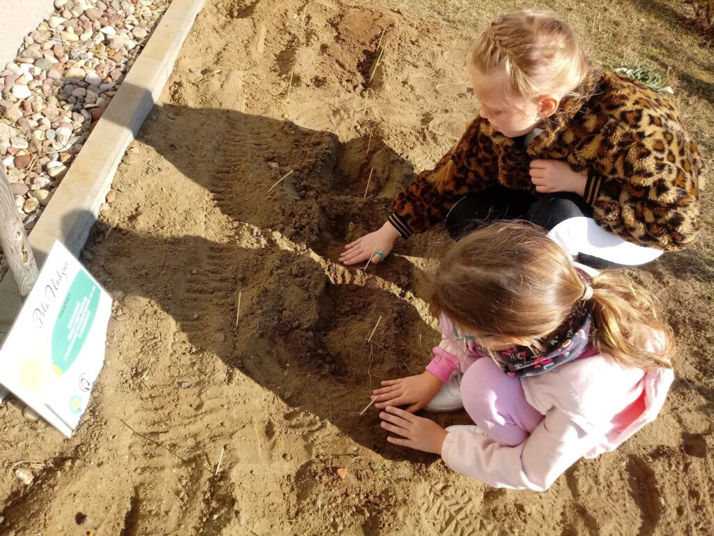 dwie dziewczynki sadzą żonkile