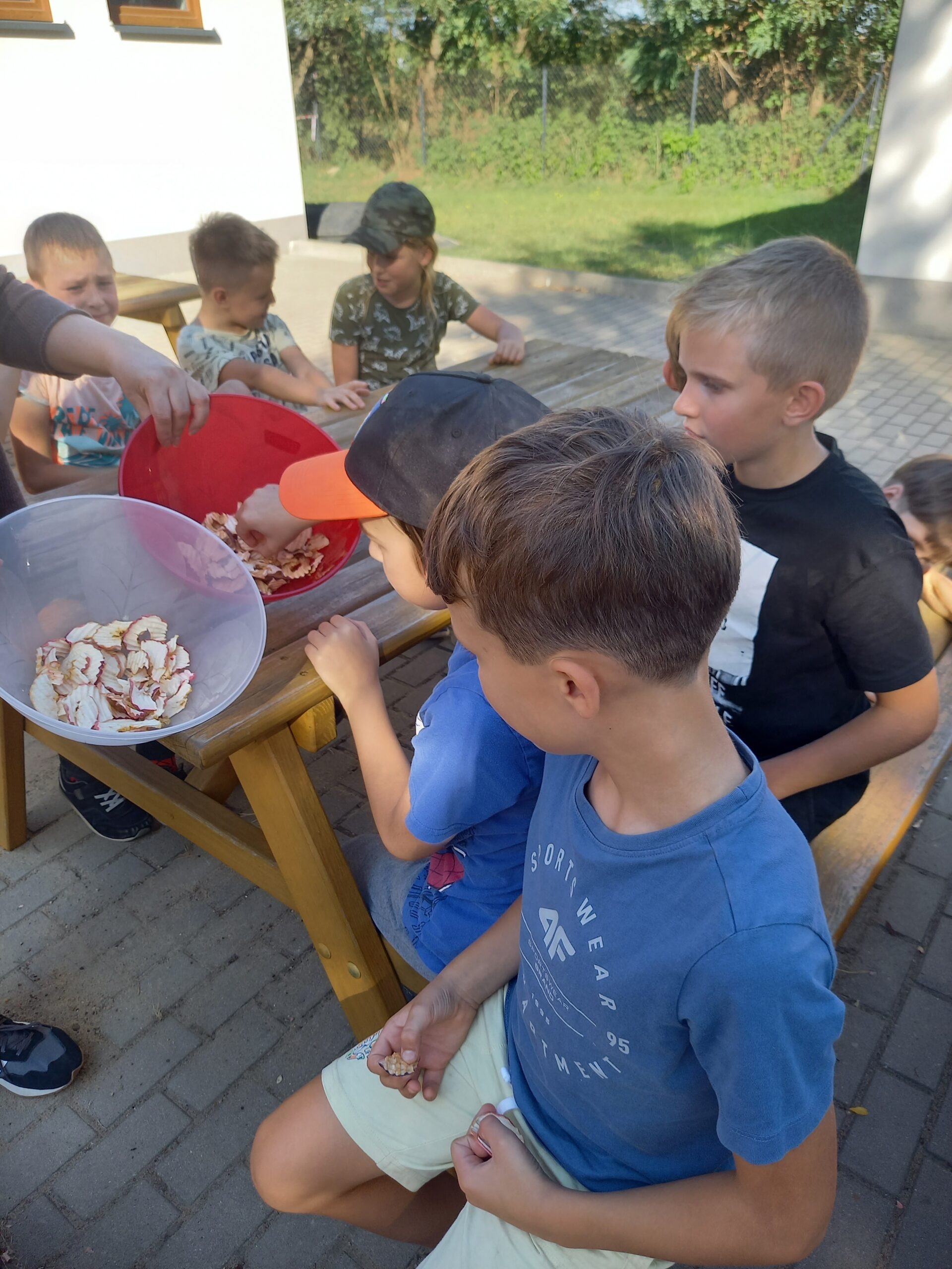 dzieci degustują suszone jabłka podczas Dnia Jabłka