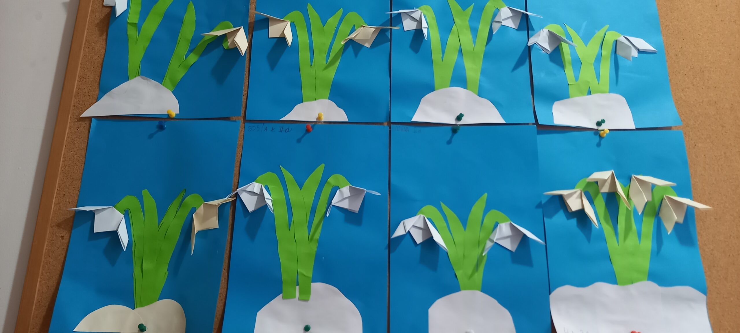 wystawka prac dzieci wiosenne kwiaty - przebiśniegi z papieru kolorowego