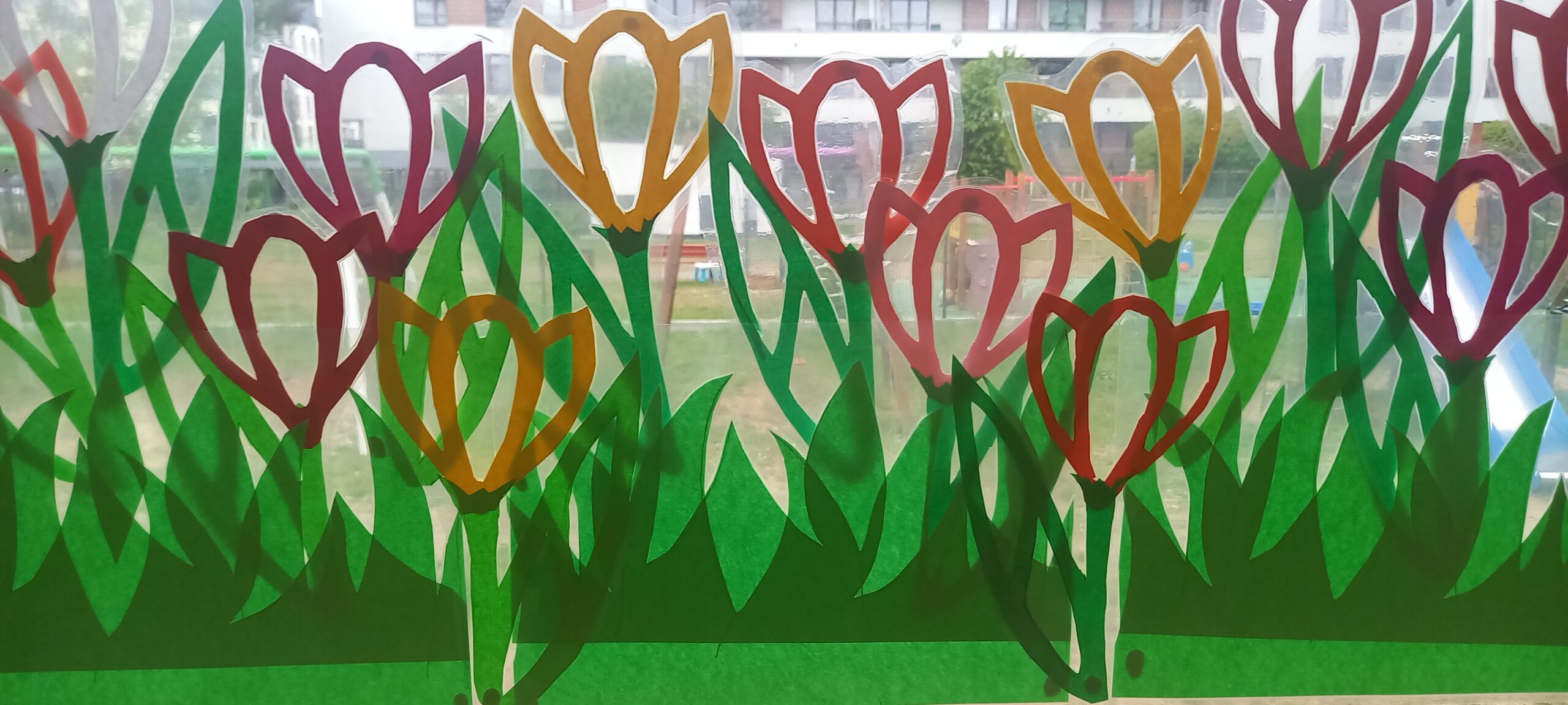 witraże na oknach - krokusy z papieru kolorowego