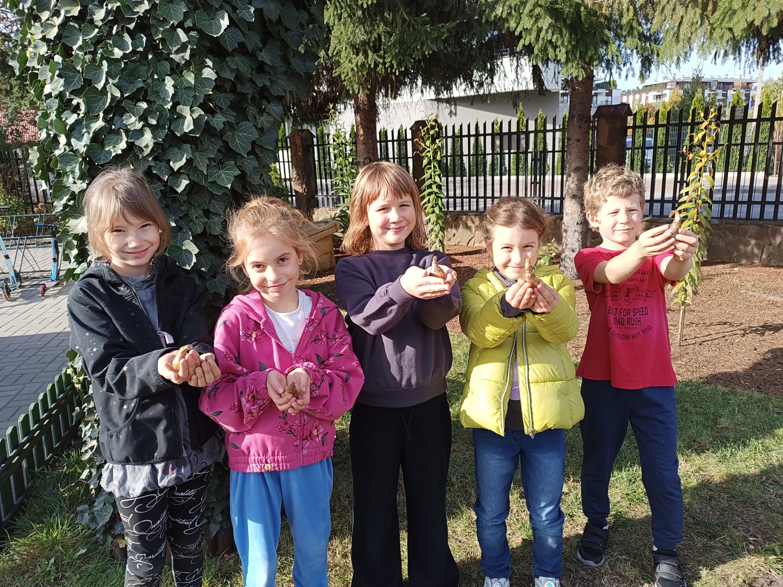 Zdjęcie 1 przedstawia grupę dzieci trzymających cebulki żonkili