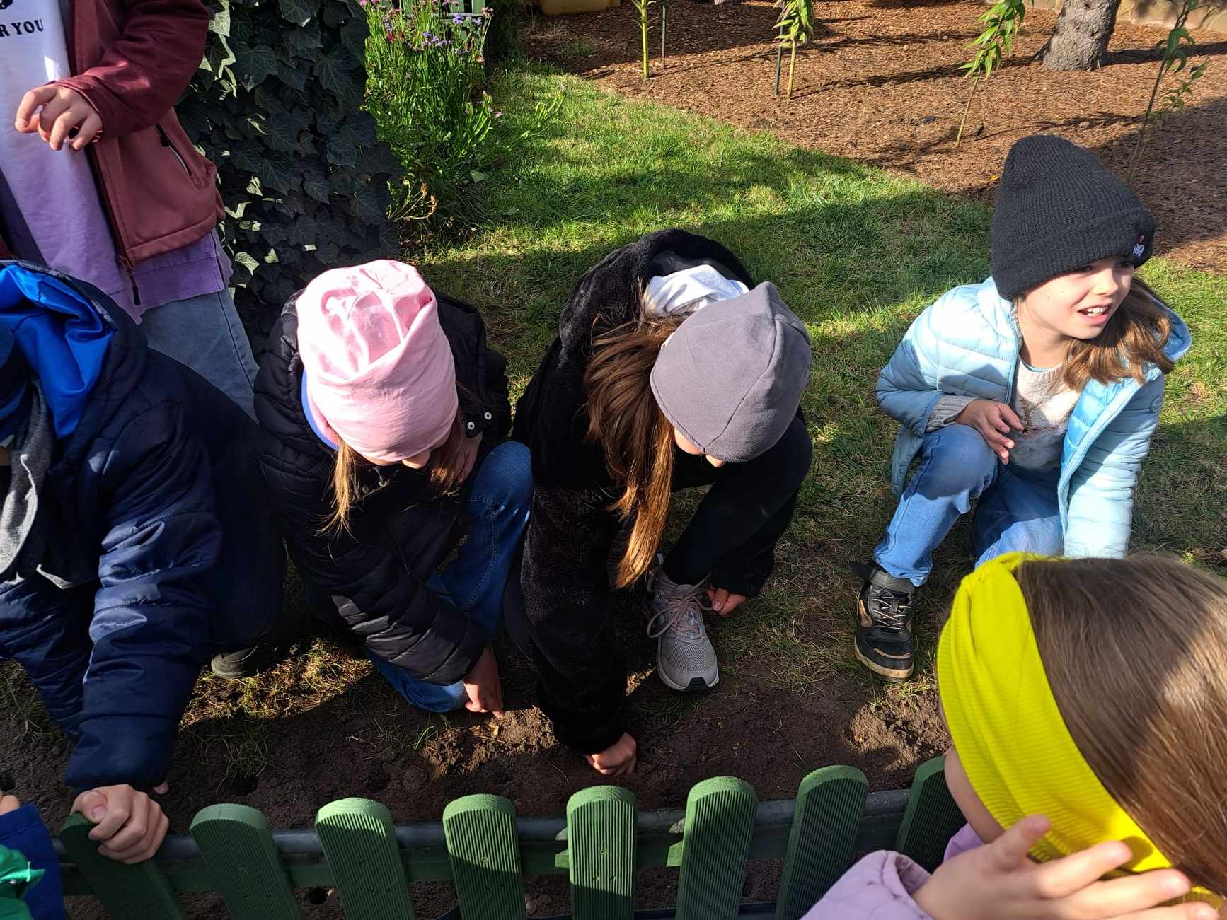 Zdjęcie 3 przedstawia grupę dzieci sadzących cebulki żonkili w ziemi